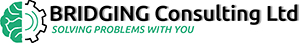 BRIDGING Consulting Ltd